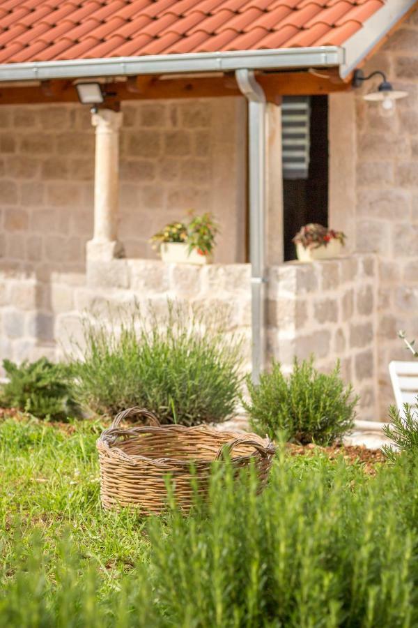 شقة Olive Garden ستون المظهر الخارجي الصورة