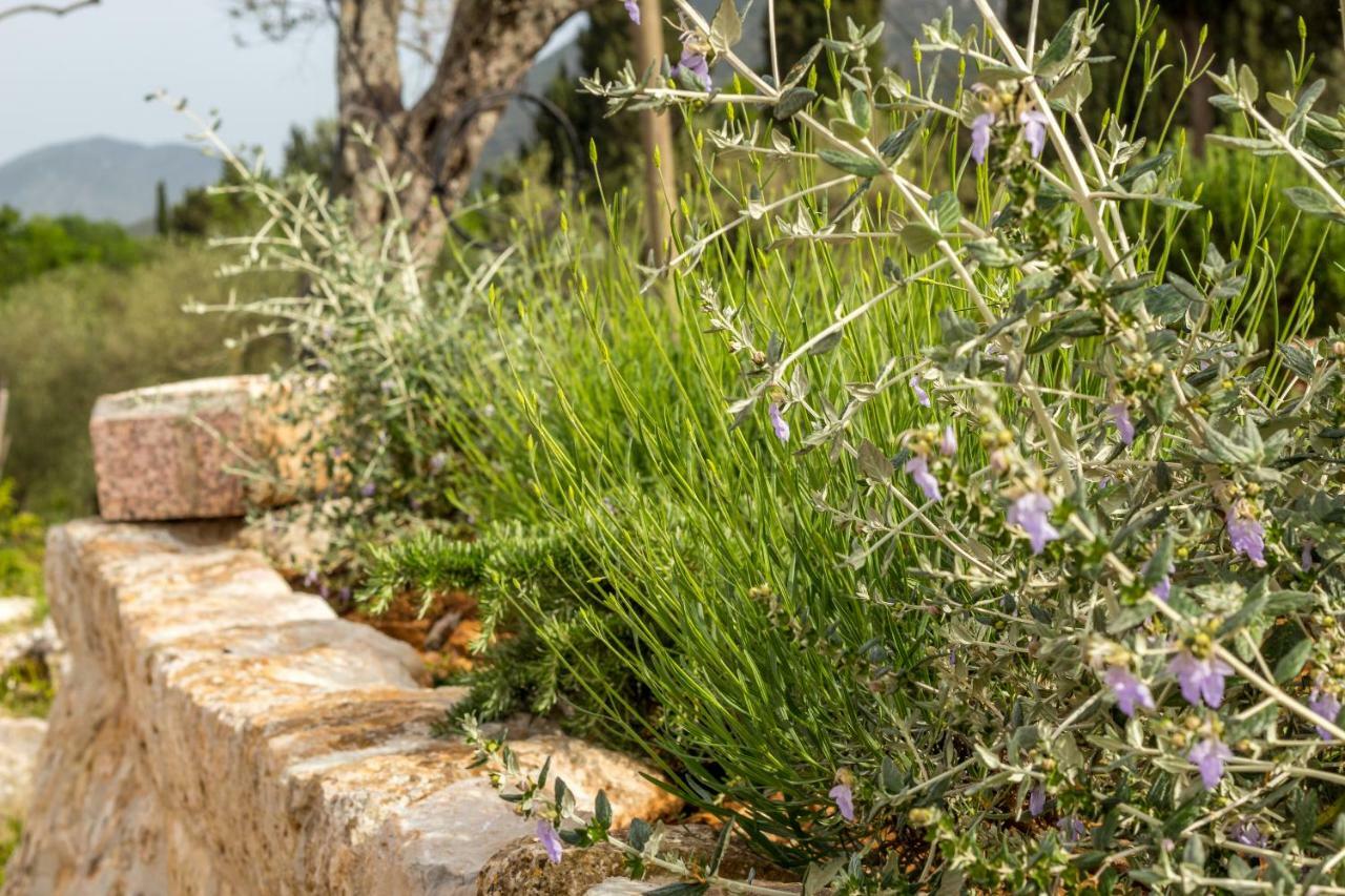 شقة Olive Garden ستون المظهر الخارجي الصورة